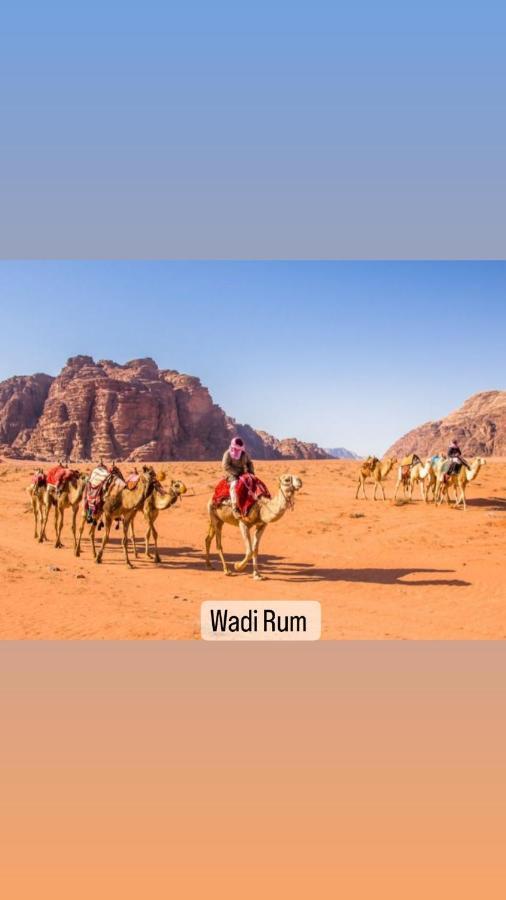 Hotel Wadi Rum Sand Delight Camp Extérieur photo